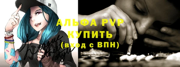 PSILOCYBIN Аркадак