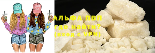 PSILOCYBIN Аркадак