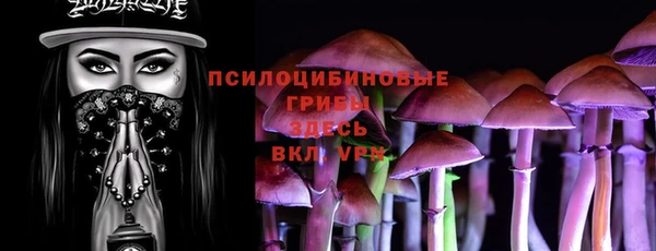 apvp Арсеньев