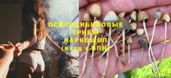 apvp Арсеньев