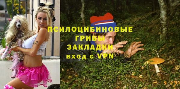 apvp Арсеньев