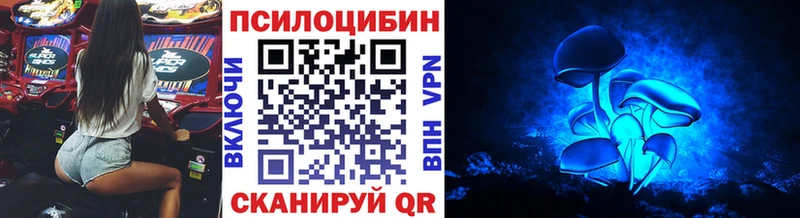 ОМГ ОМГ зеркало  Валдай  Галлюциногенные грибы Psilocybe  даркнет сайт 